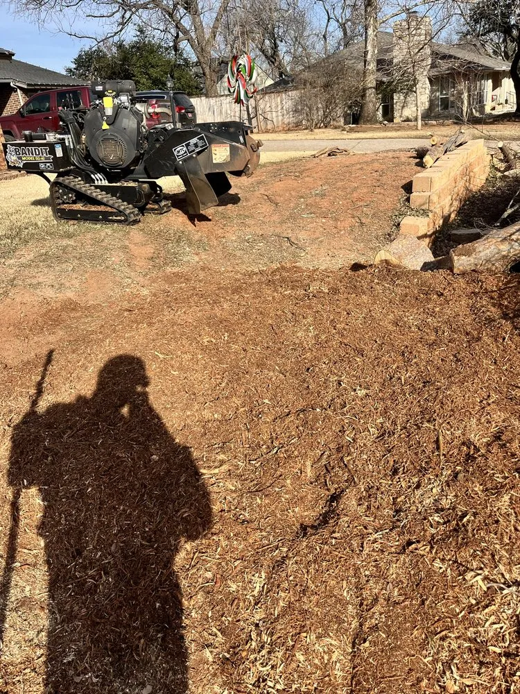 Expert yard maintenance experts serving Moore, OK - Terra Landworks