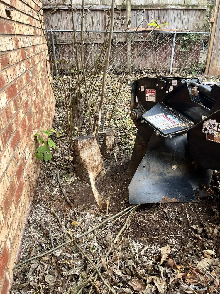 Reliable garden landscaping in Moore, OK - Terra Landworks