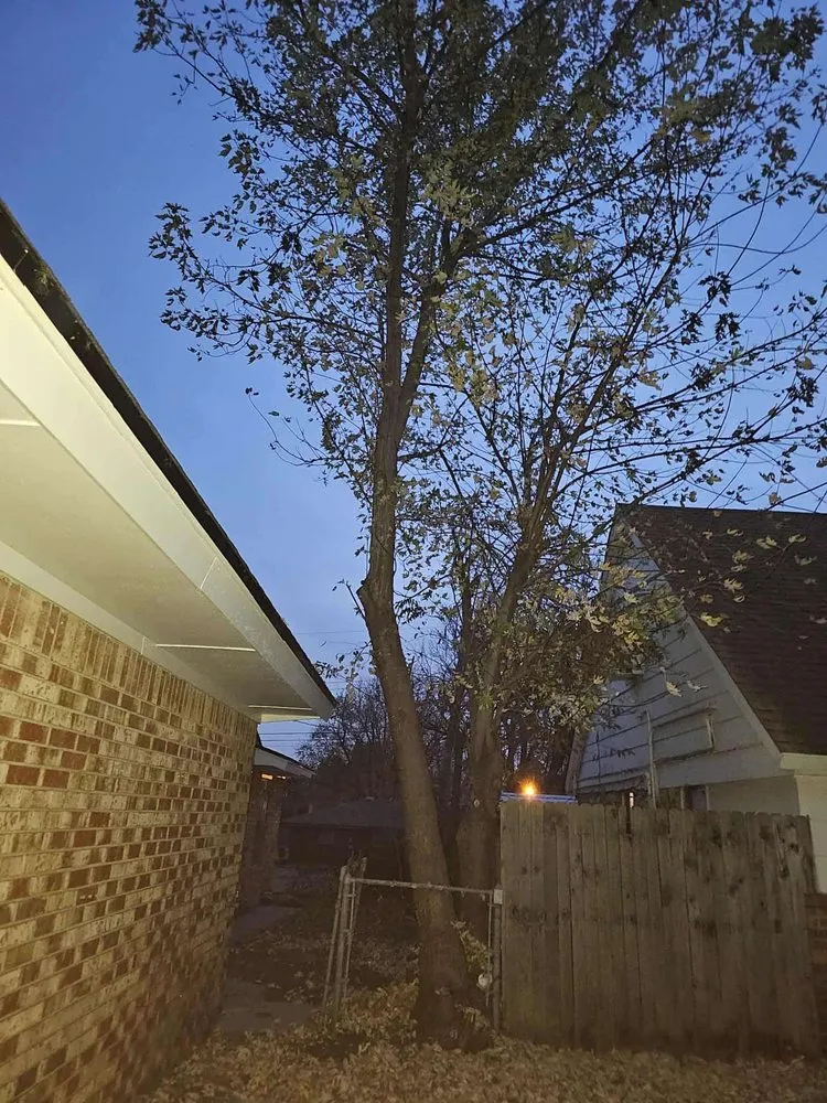 Expert landscape installation in Moore, OK - Terra Landworks