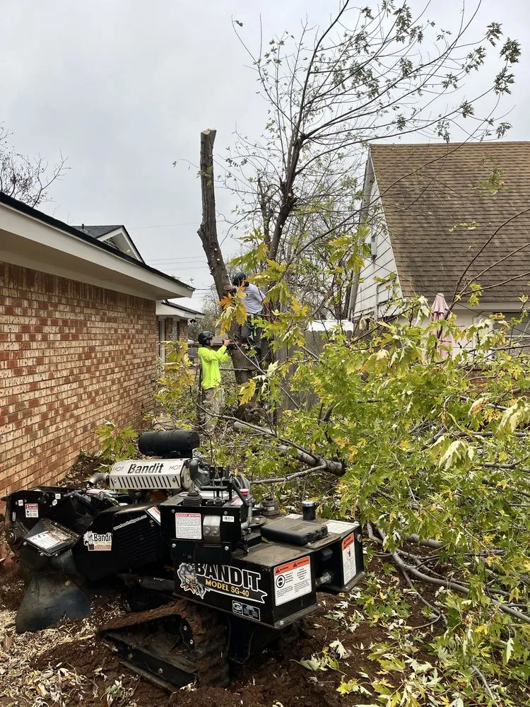 Trusted lawn care service in Moore, OK by Terra Landworks