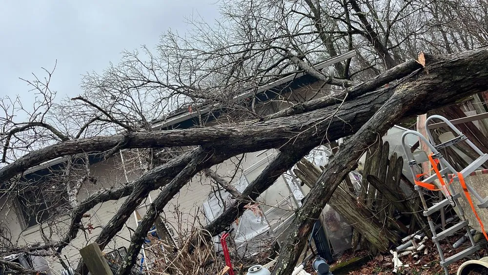 Reliable garden landscaping for beautiful yards across Moore, OK - Terra Landworks