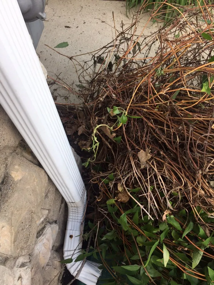 Reliable landscape installation for homes across Collegeville, PA - Terra Lawn Care Specialists