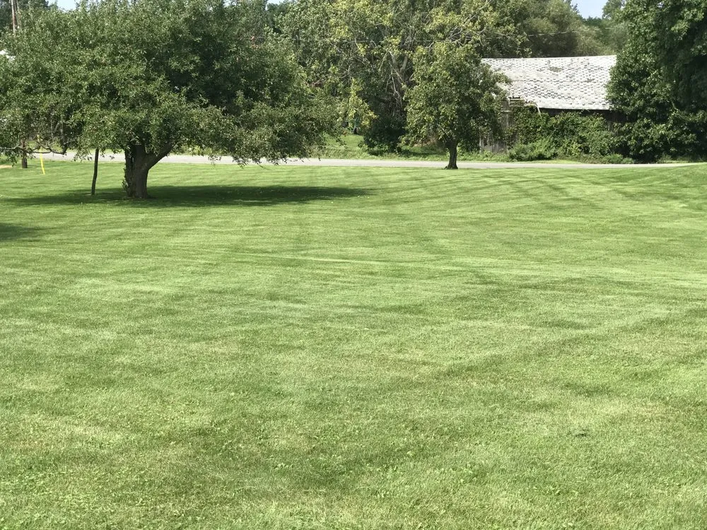 Top-rated lawn mowing service with custom design across Honeoye Falls, NY - Terra Lawn Maintenance
