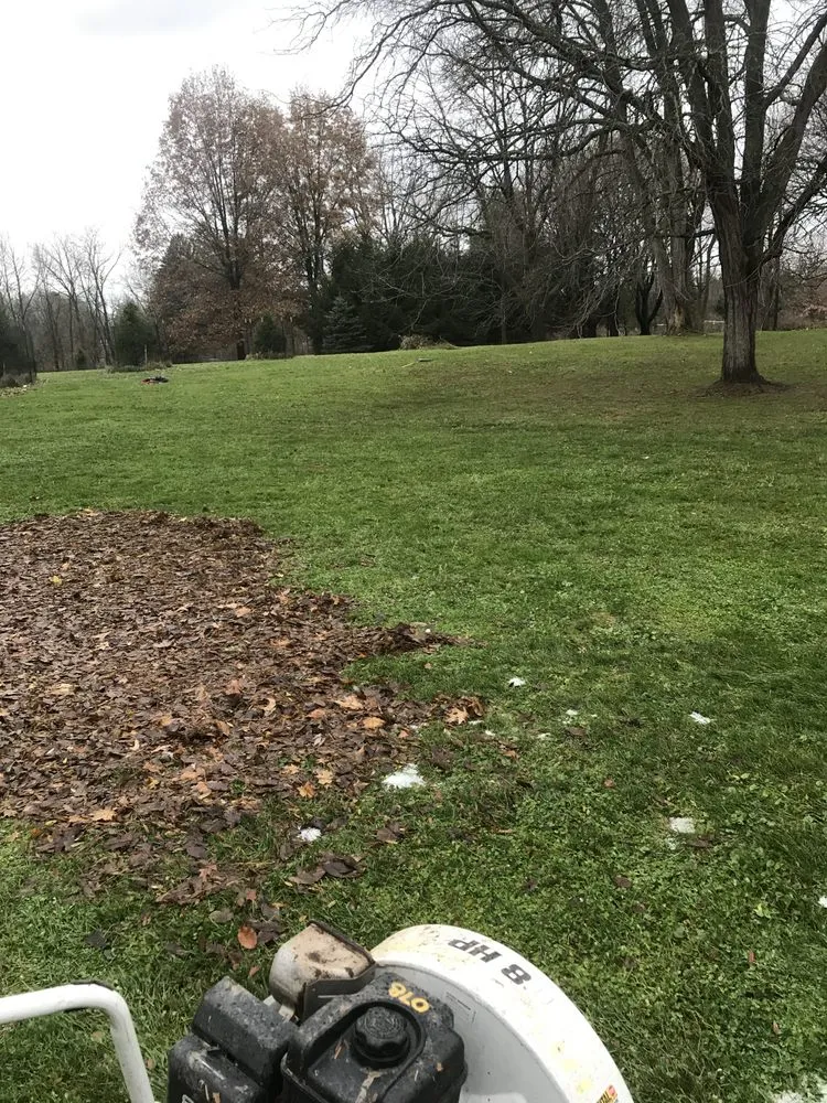 Professional yard maintenance in Honeoye Falls, NY - Terra Lawn Maintenance