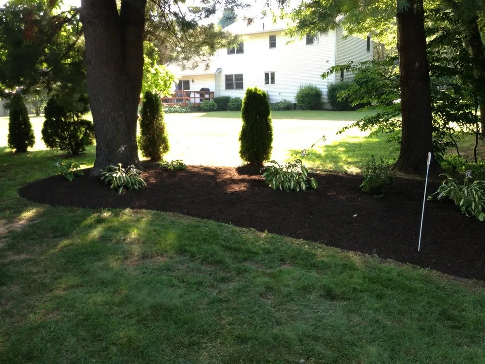 Top-rated yard cleanup service in Mechanicville, NY - Terra Mira