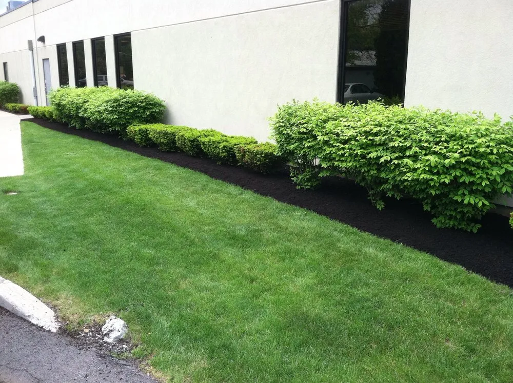 Professional residential landscaping experts serving Mechanicville, NY - Terra Mira