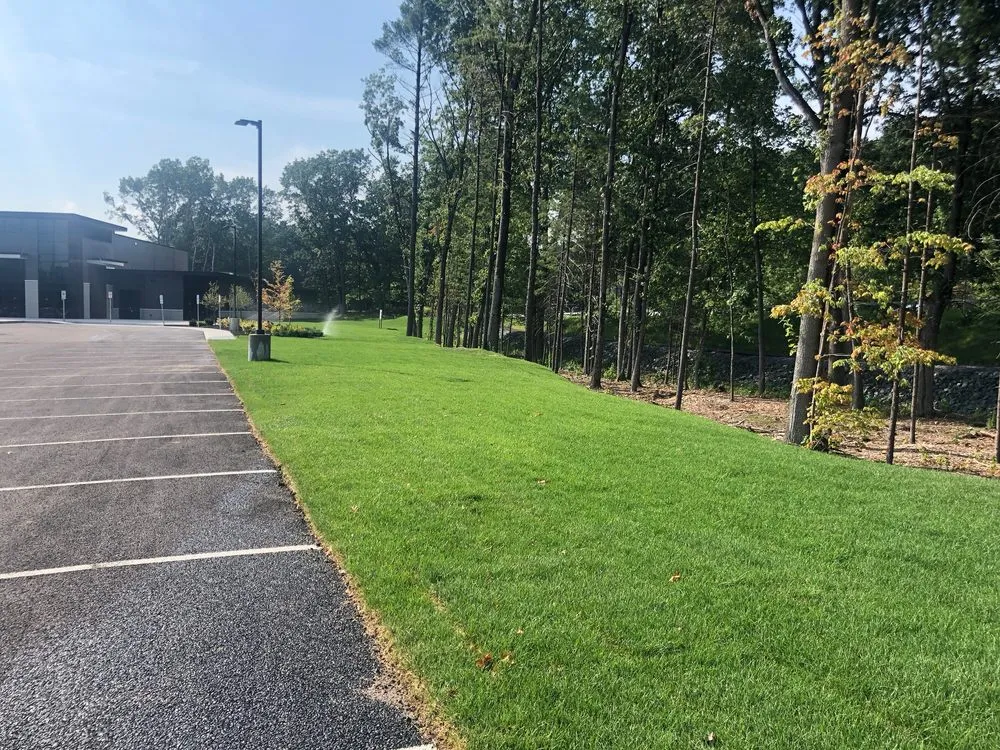 Top-rated yard cleanup service in Mechanicville, NY - Terra Mira