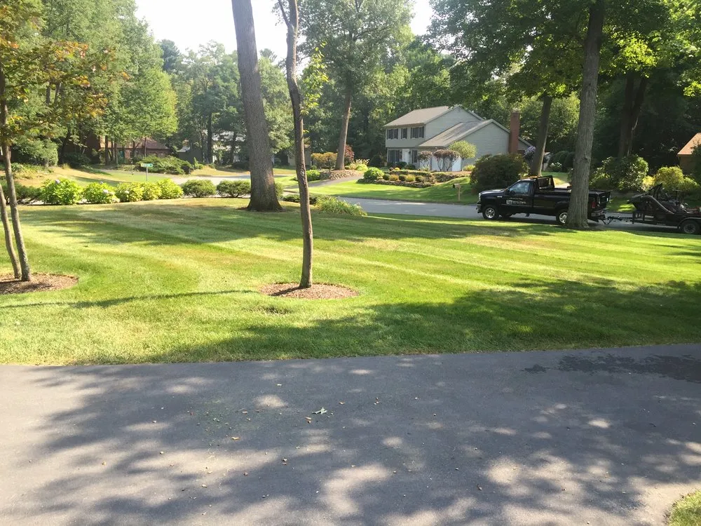 Expert landscaping services for outdoor upgrades in Mechanicville, NY by Terra Mira