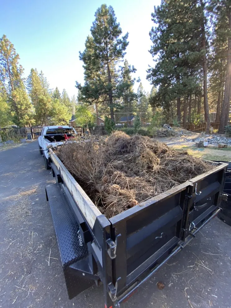 Reliable yard cleanup service for residential properties across Bend, OR - Terra Nova