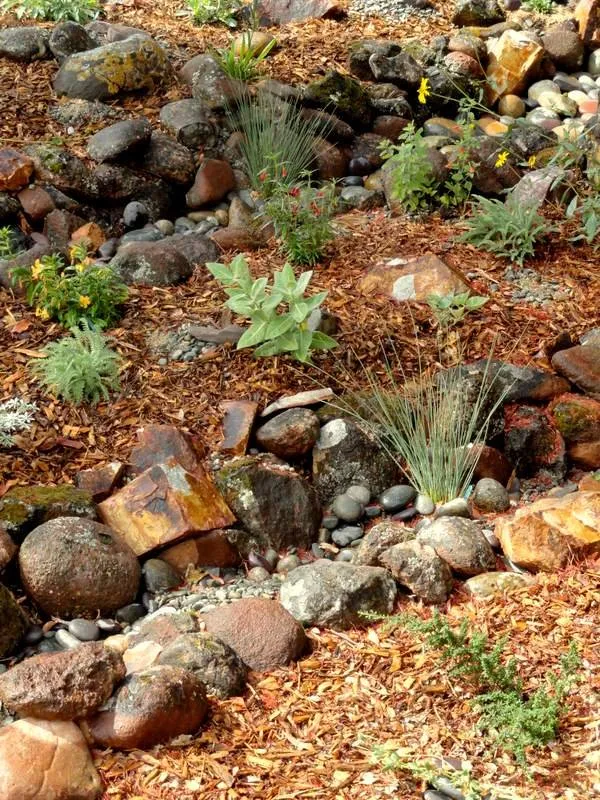 Affordable lawn mowing service with custom design across Santa Cruz, CA - Terra Nova Ecological Landscaping