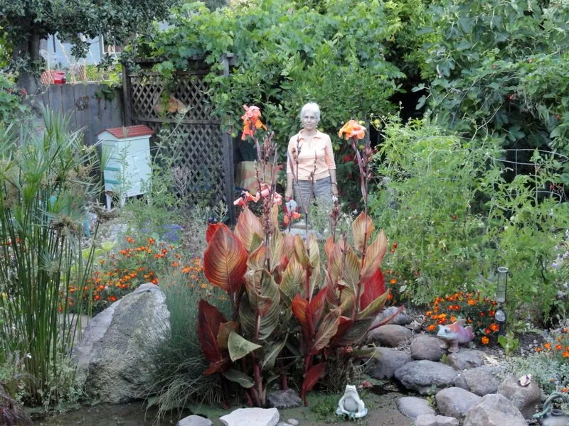 Trusted yard maintenance for year-round maintenance across Santa Cruz, CA - Terra Nova Ecological Landscaping