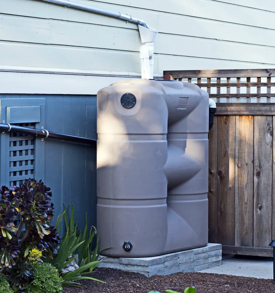 Professional lawn care service with custom design in Santa Cruz, CA by Terra Nova Ecological Landscaping