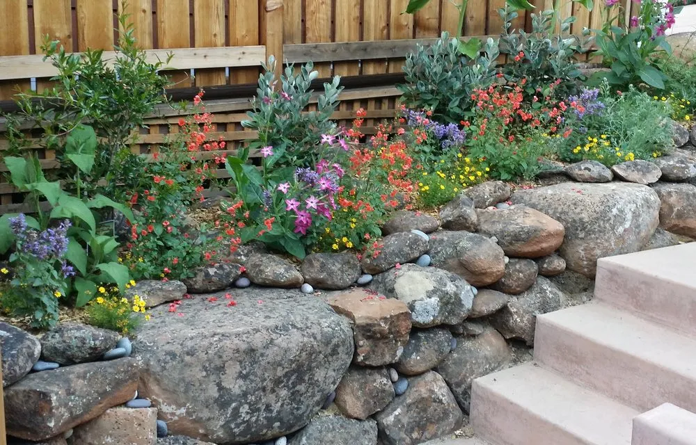 Reliable garden landscaping in Santa Cruz, CA by Terra Nova Ecological Landscaping