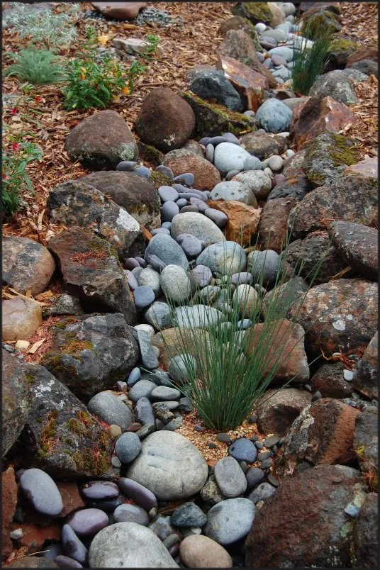 Professional residential landscaping in Santa Cruz, CA by Terra Nova Ecological Landscaping