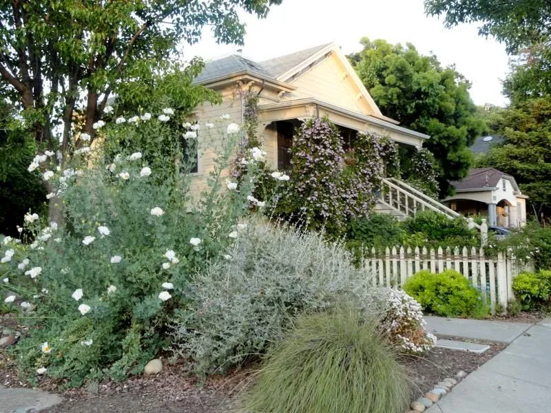 Top-rated outdoor landscaping for residential properties in Santa Cruz, CA by Terra Nova Ecological Landscaping