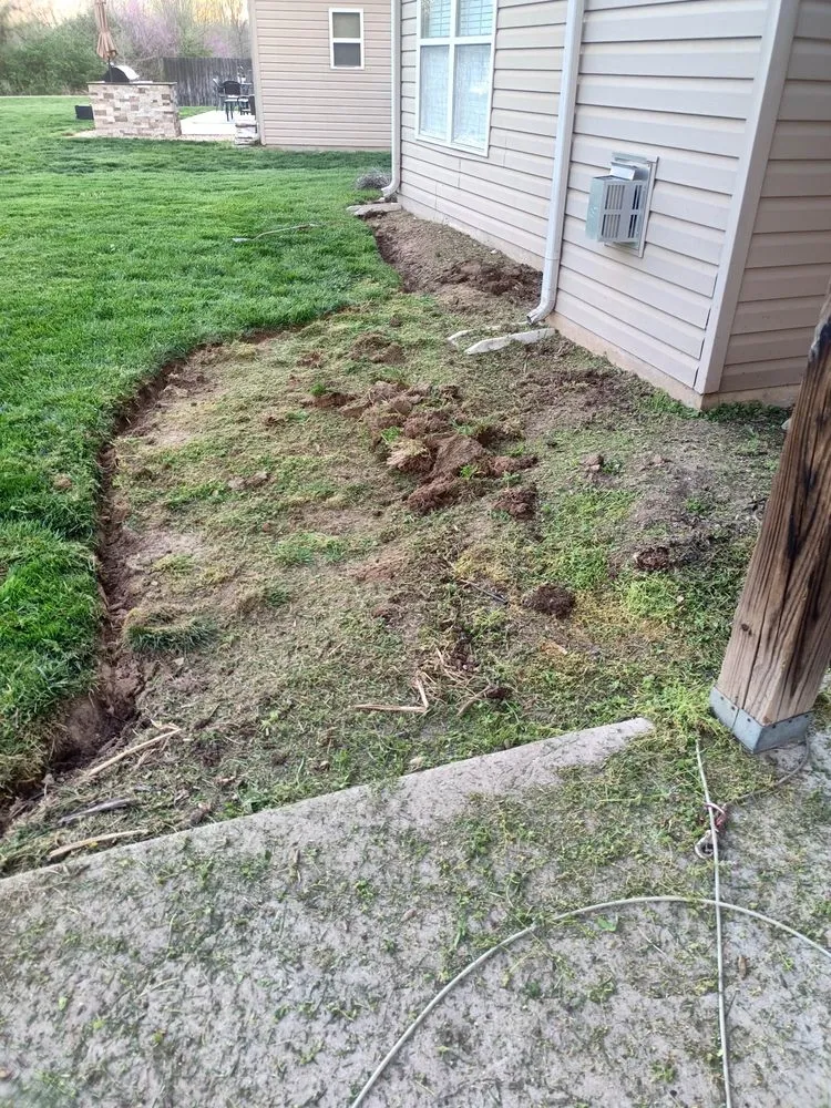 Trusted landscape design in Columbia, MO by Terra Nova Turf