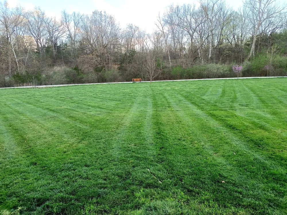 Trusted landscape installation for residential properties across Columbia, MO - Terra Nova Turf