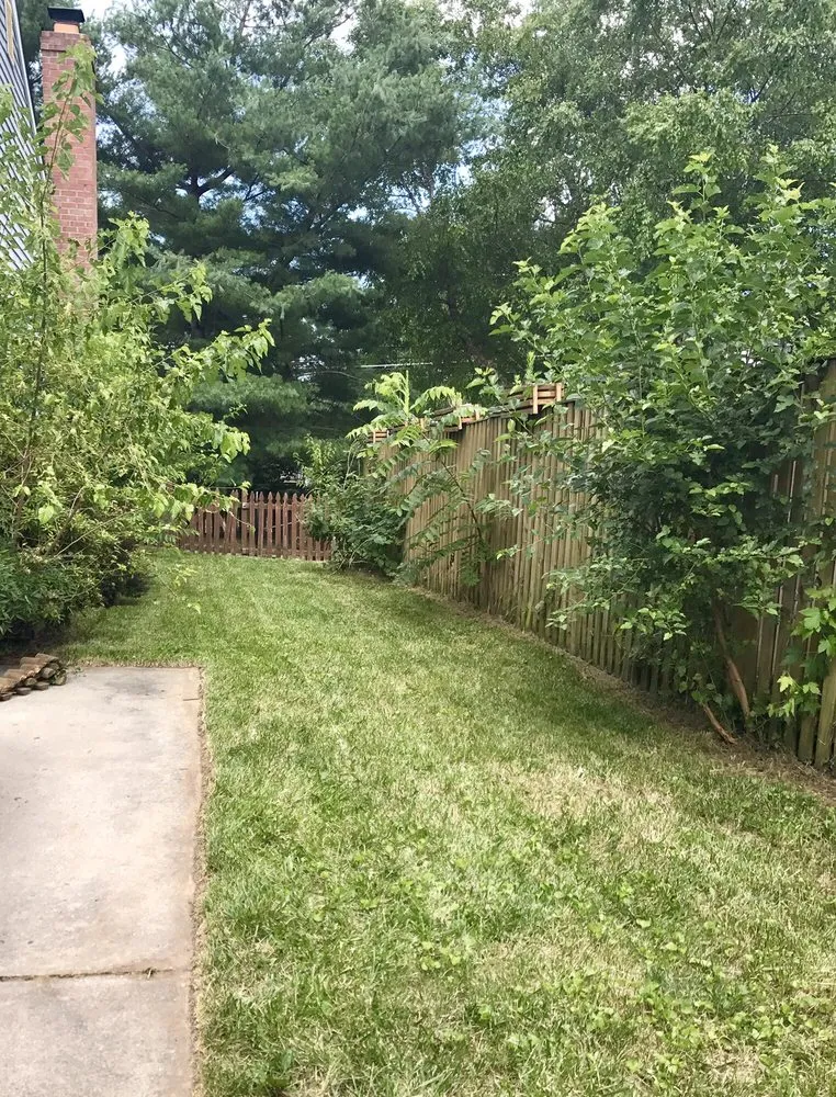 Top-rated yard cleanup service in Stewartstown, PA by Terra Preta Lawn & Landscapes