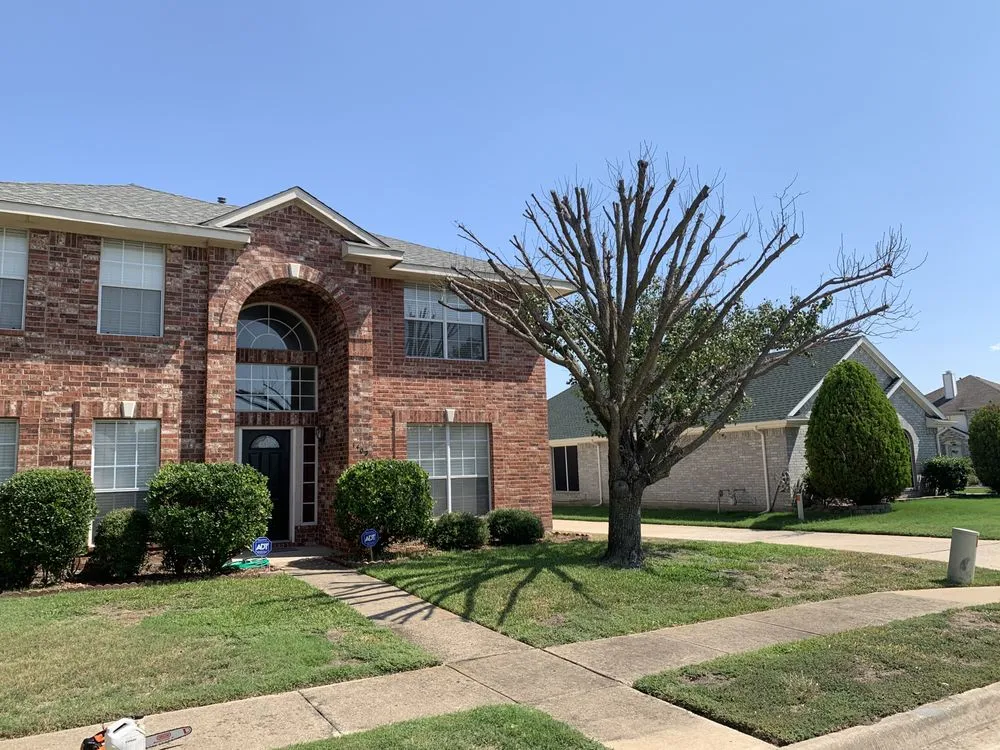 Professional lawn mowing service experts serving Wylie, TX - Terra Pro Design