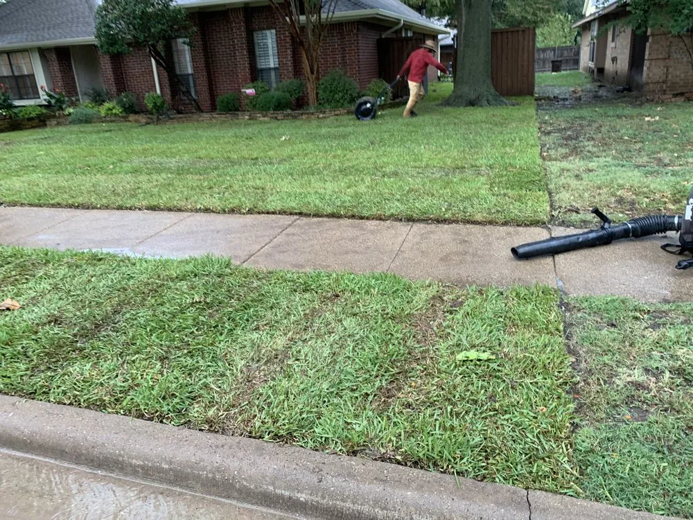 Top-rated yard maintenance experts serving Wylie, TX - Terra Pro Design