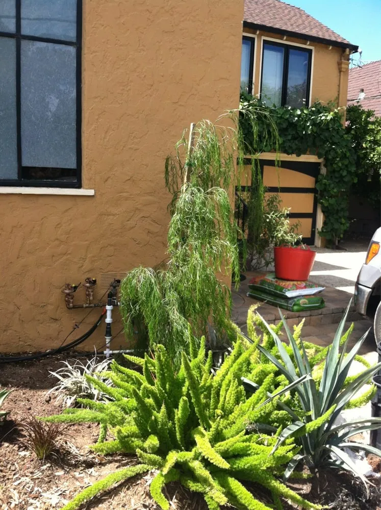 Expert lawn care service for year-round maintenance across San Mateo, CA - Terra Rubina