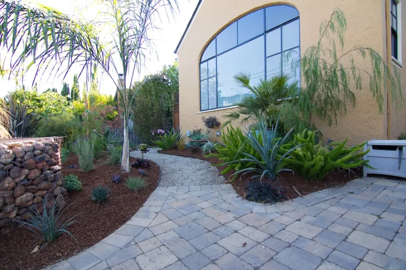 Top-rated lawn mowing service in San Mateo, CA by Terra Rubina