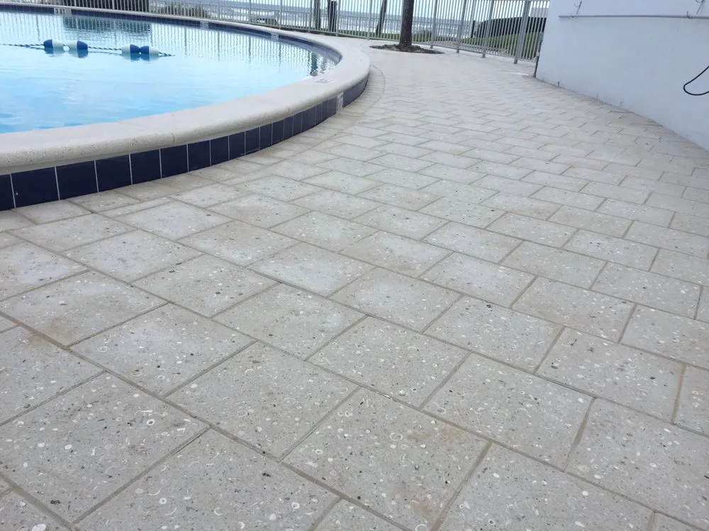 Top-rated yard cleanup service for beautiful yards in Edgewater, FL by Terra-Scape Enterprises