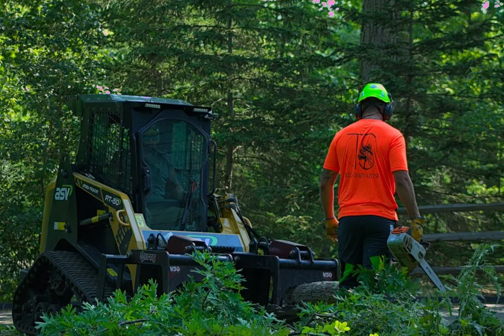 Professional landscape installation for homes across Fenton, MI - Terra Shape Tree
