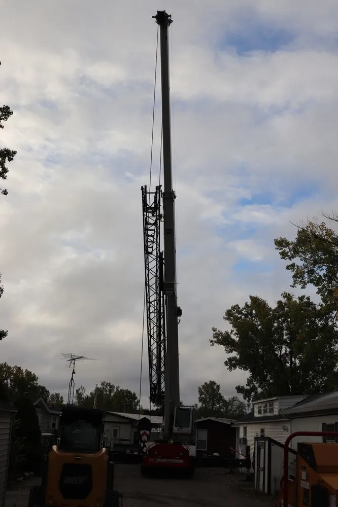 Custom landscape installation for homes across Fenton, MI - Terra Shape Tree