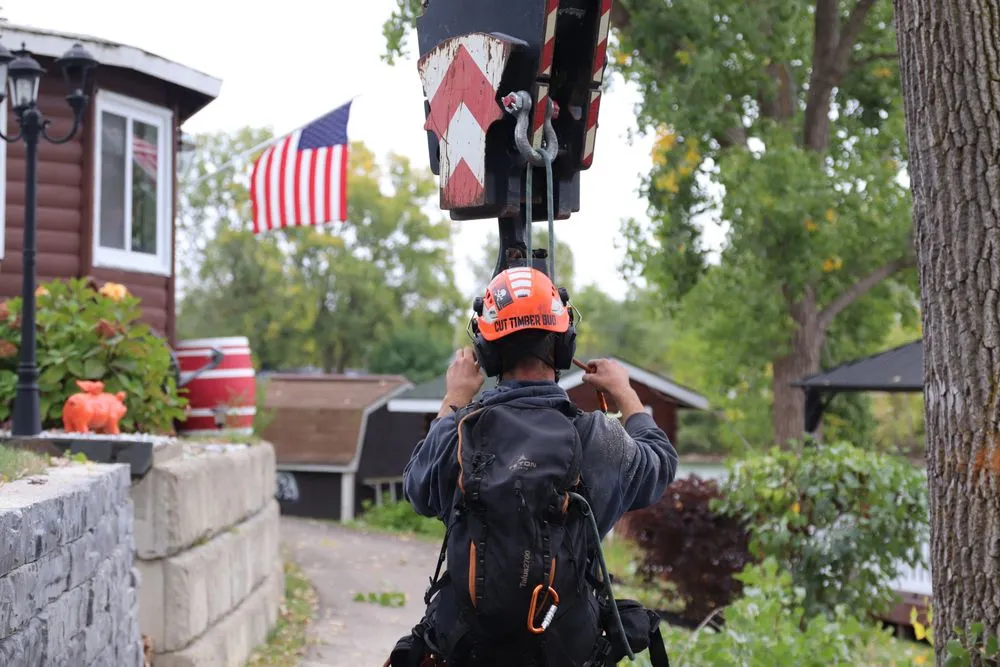 Custom yard cleanup service in Fenton, MI - Terra Shape Tree