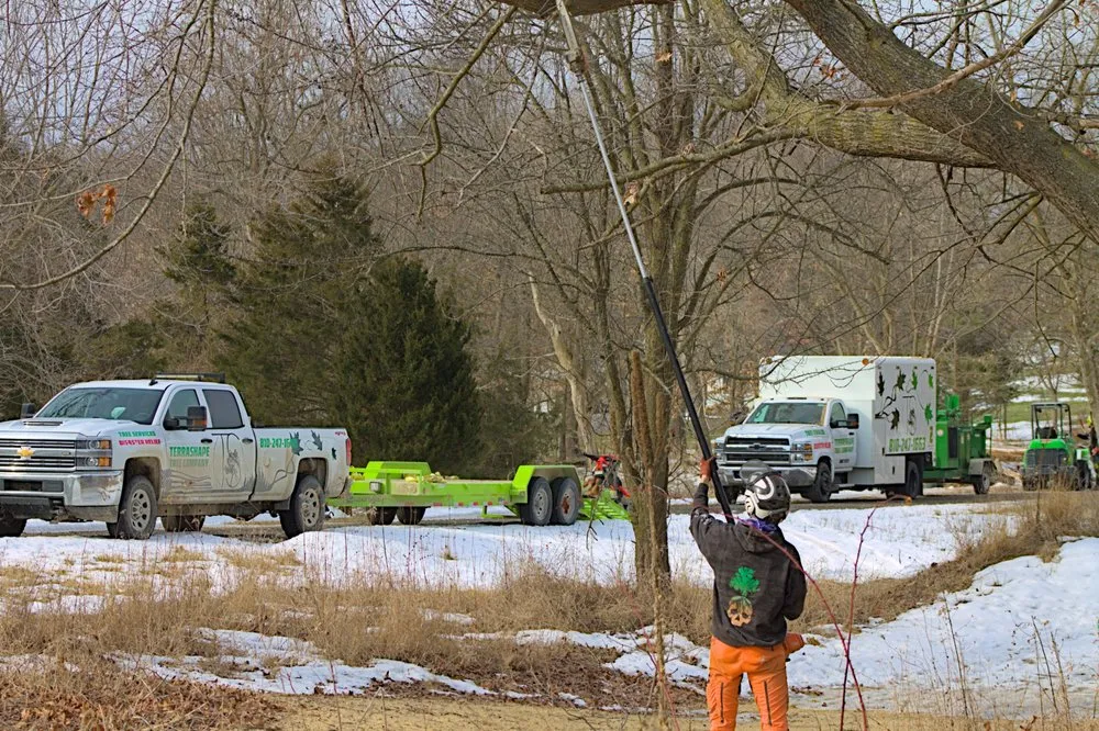 Expert outdoor landscaping for beautiful yards in Fenton, MI by Terra Shape Tree