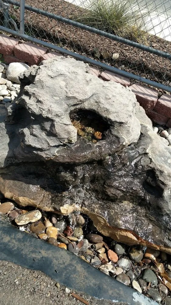 Professional lawn mowing service for beautiful yards in Santa Fe, NM by Terra Stone Scapes