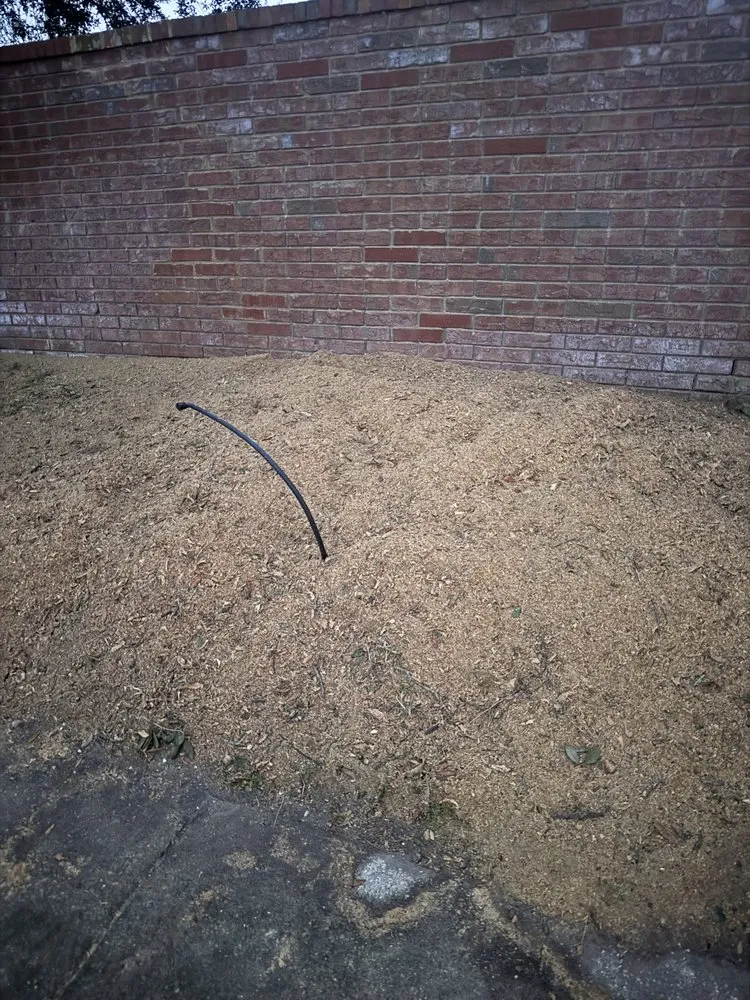 Affordable yard maintenance in Apopka, FL by Terra Tree Services