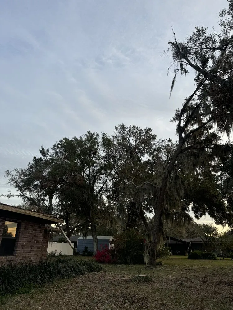 Affordable garden landscaping for year-round maintenance in Apopka, FL by Terra Tree Services