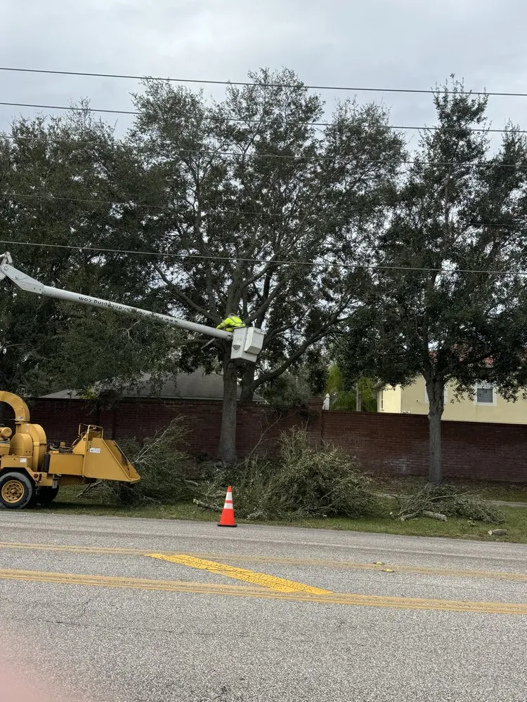 Affordable landscape installation experts serving Apopka, FL - Terra Tree Services