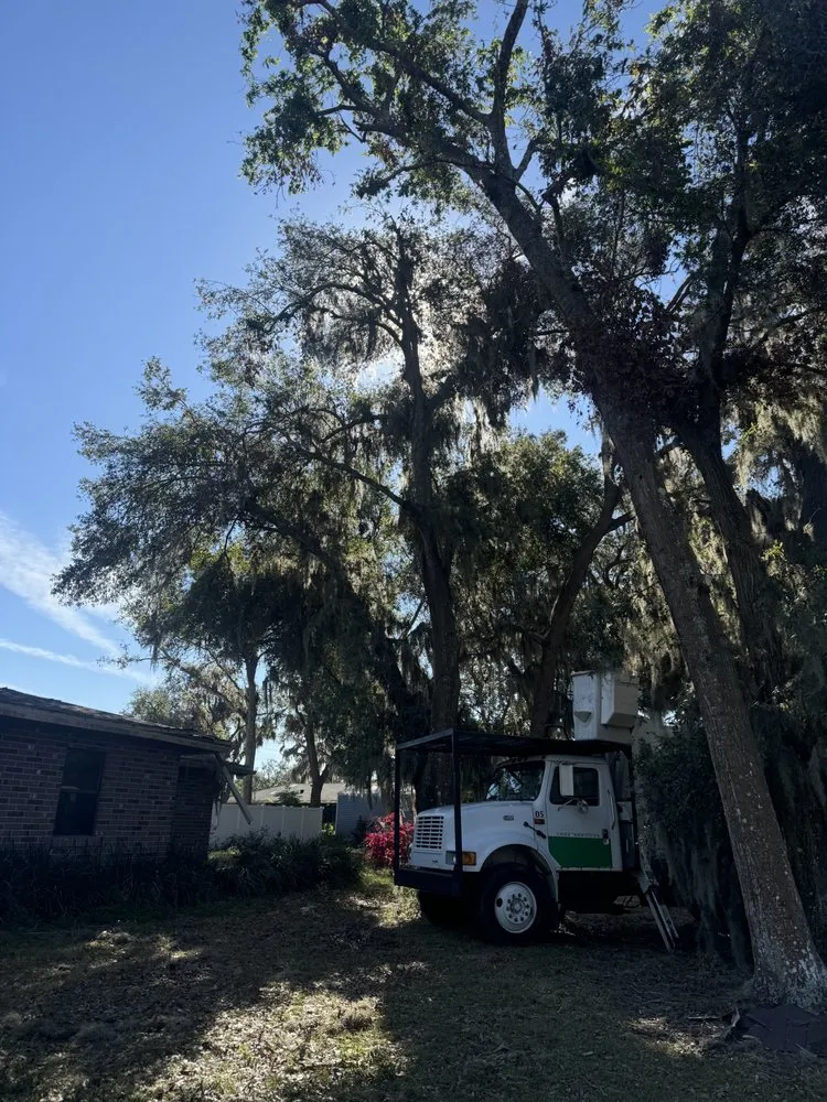 Local garden landscaping near you across Apopka, FL - Terra Tree Services