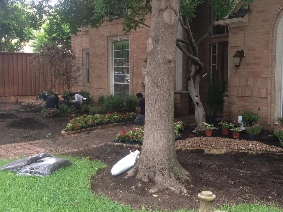 Reliable residential landscaping for beautiful yards across Plano, TX - Terra Turf Landscape