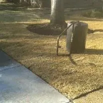 Custom residential landscaping for year-round maintenance across Plano, TX - Terra Turf Landscape