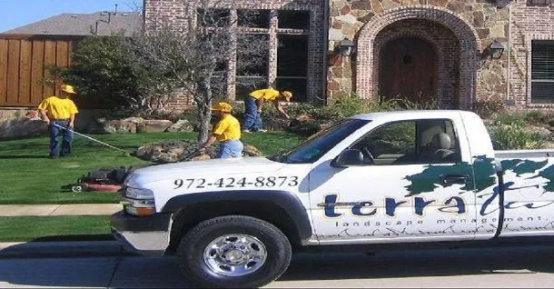Professional yard cleanup service in Plano, TX - Terra Turf Landscape