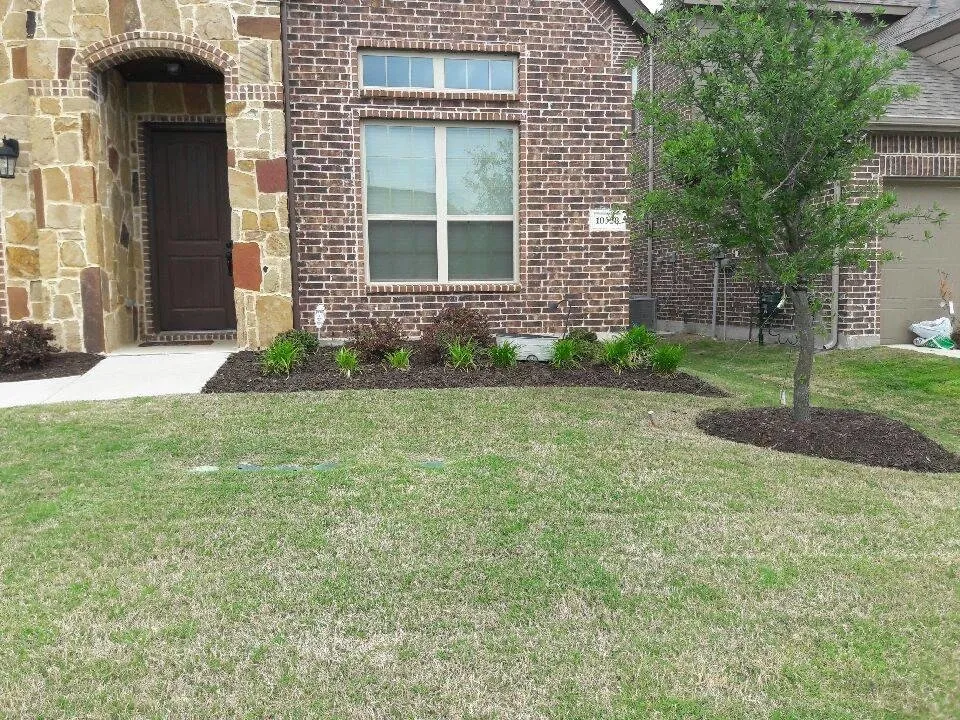 Expert landscaping services for homes across Plano, TX - Terra Turf Landscape