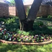 Affordable lawn care service near you across Plano, TX - Terra Turf Landscape