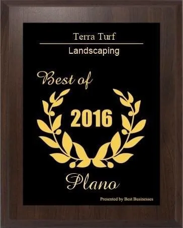 Custom yard maintenance in Plano, TX - Terra Turf Landscape