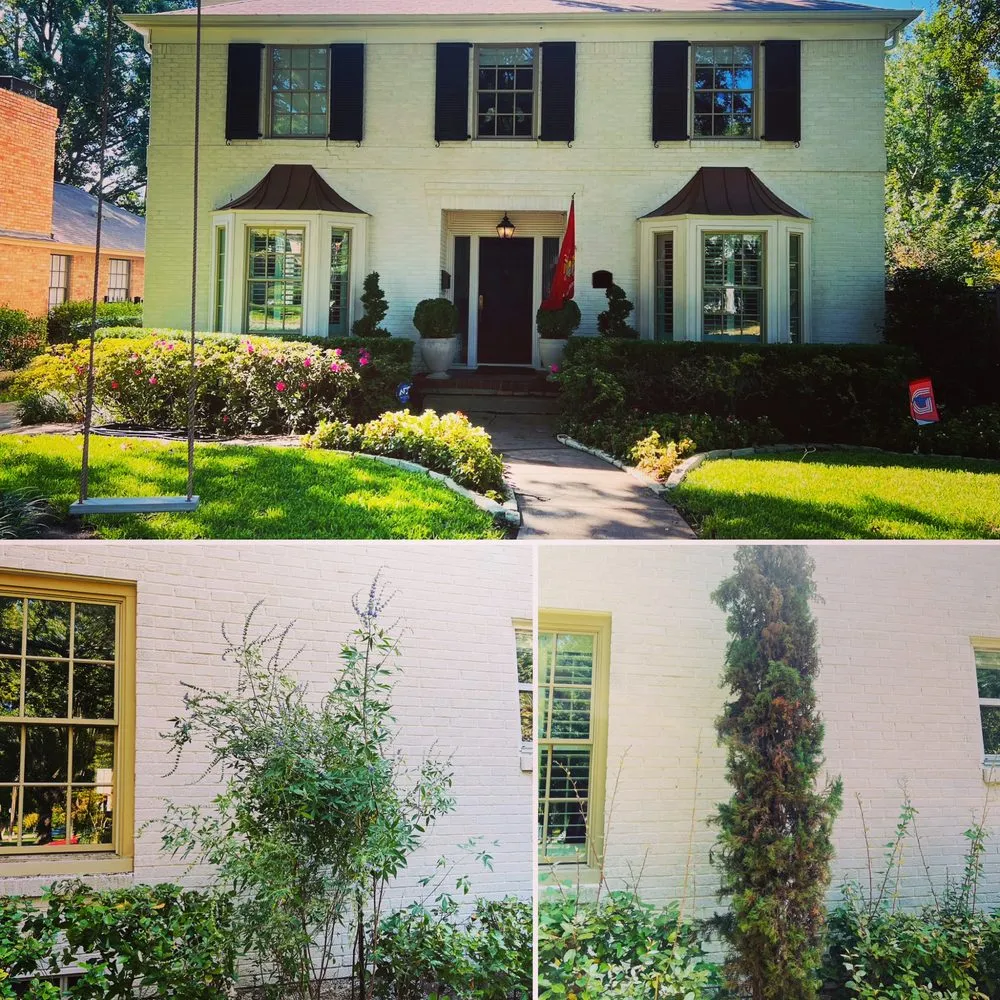 Local outdoor landscaping with custom design in Dallas, TX by Terra Verde Landscaping Plus Design