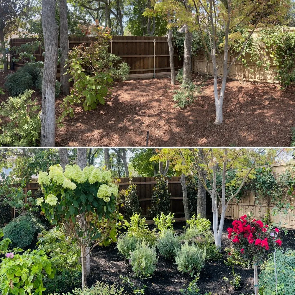 Trusted residential landscaping with custom design across Dallas, TX - Terra Verde Landscaping Plus Design