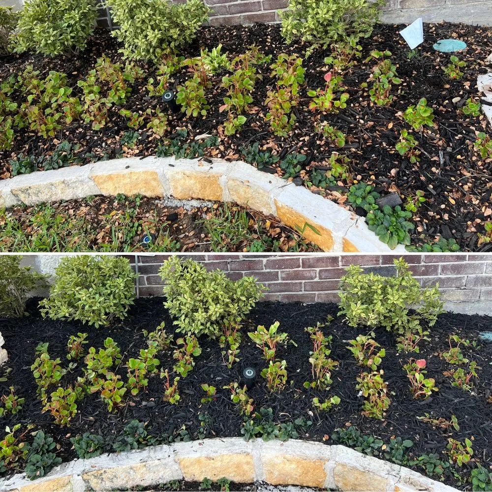 Trusted yard cleanup service experts serving Dallas, TX - Terra Verde Landscaping Plus Design