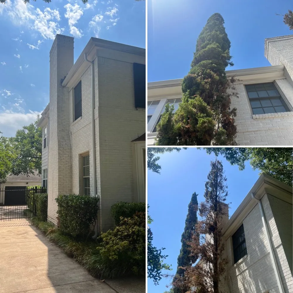 Top-rated landscaping services for residential properties in Dallas, TX by Terra Verde Landscaping Plus Design