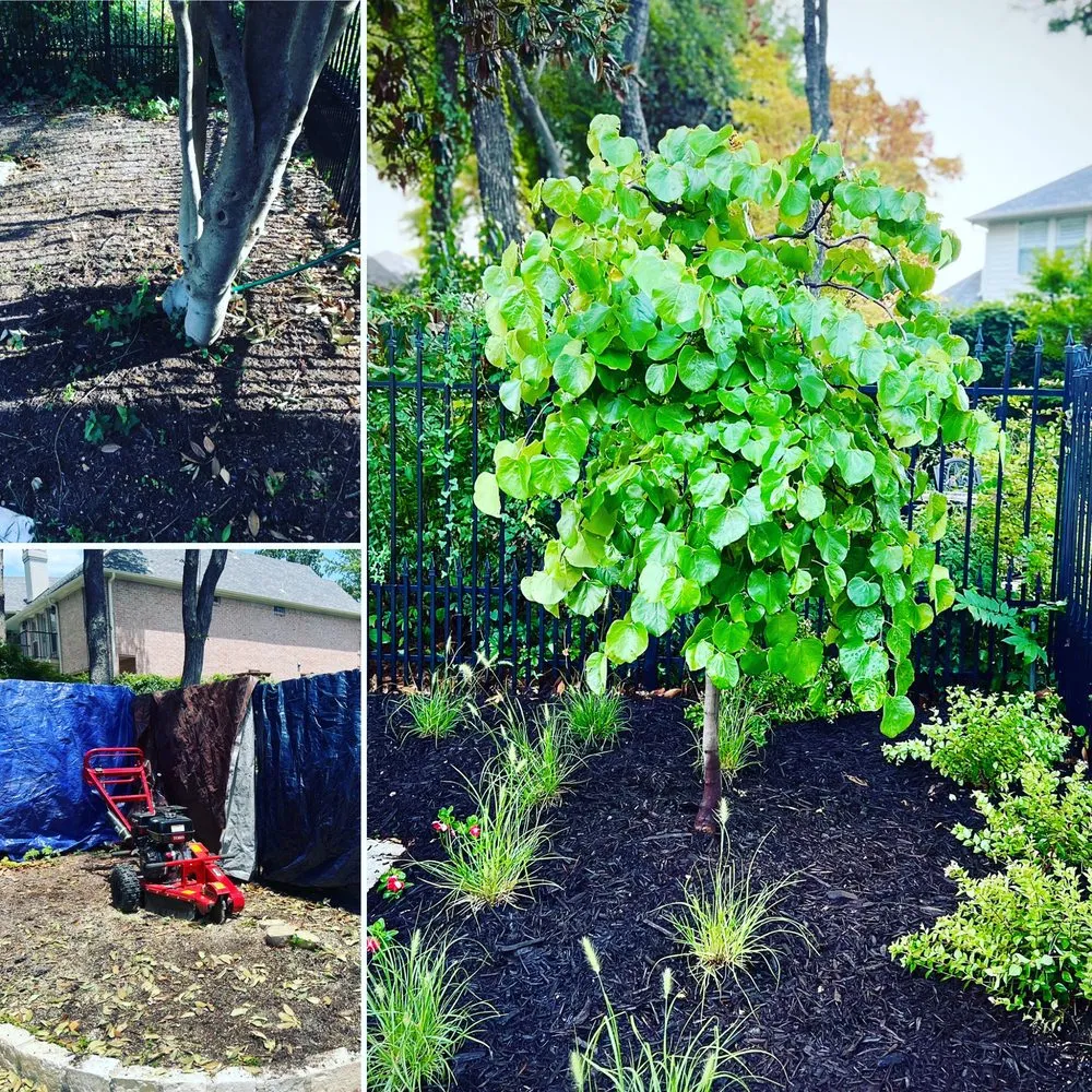 Affordable landscaping services for outdoor upgrades in Dallas, TX by Terra Verde Landscaping Plus Design