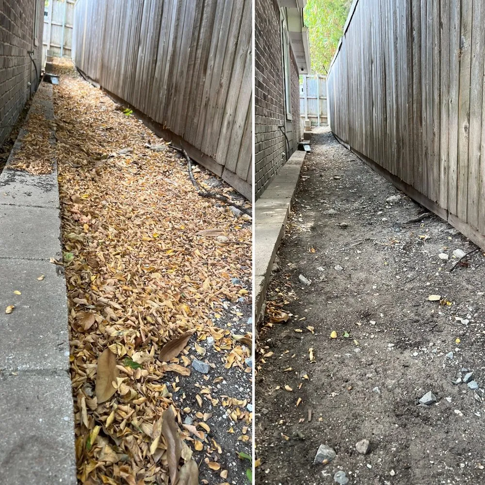 Trusted yard cleanup service in Dallas, TX by Terra Verde Landscaping Plus Design