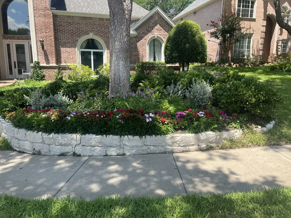 Professional yard cleanup service experts serving Dallas, TX - Terra Verde Landscaping Plus Design