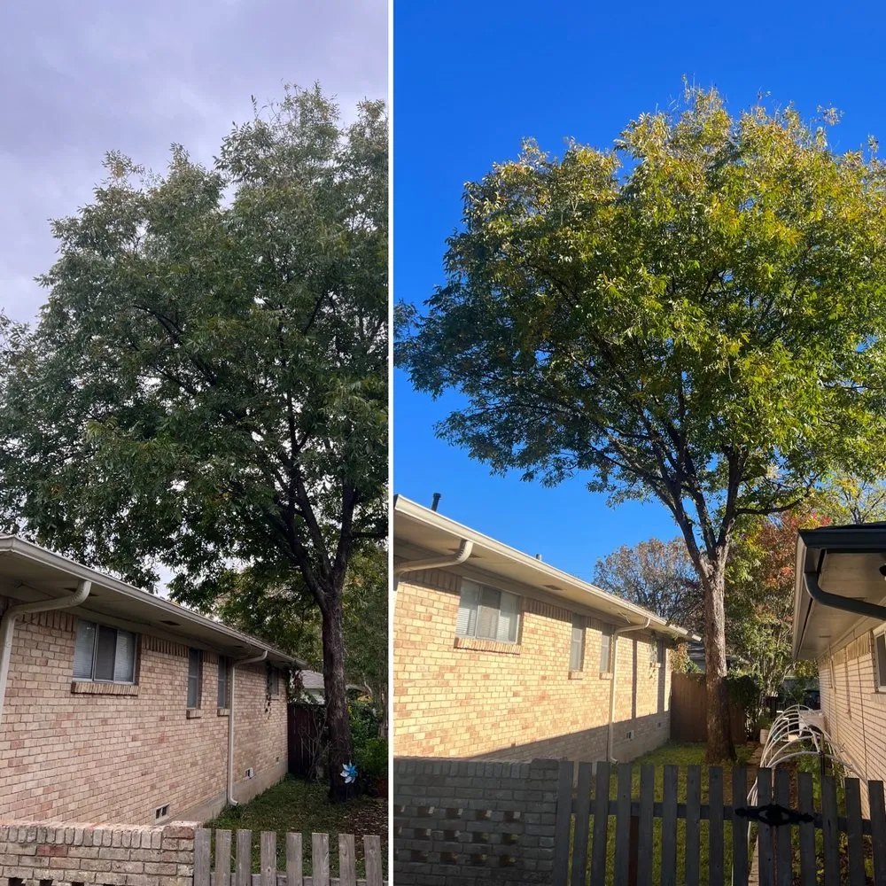 Local landscape installation with custom design across Dallas, TX - Terra Verde Landscaping Plus Design